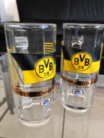 BVB Glas/Krug deutscher Meister 1995/96 - TOP! Dortmund - Syburg Vorschau