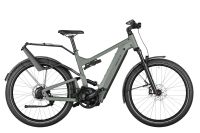 RIESE & MÜLLER Delite4 GT rohloff | tundra grey matt Niedersachsen - Braunschweig Vorschau