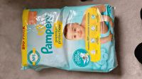 Pampers Premium Protection Größe 3 Schleswig-Holstein - Kellenhusen Vorschau