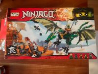 Lego Ninjago grüner Drache Kr. Dachau - Markt Indersdorf Vorschau