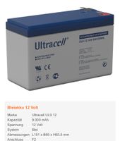 Ultracell Batterie für Peg Perego Fahrzeuge Rheinland-Pfalz - Marienfels Vorschau