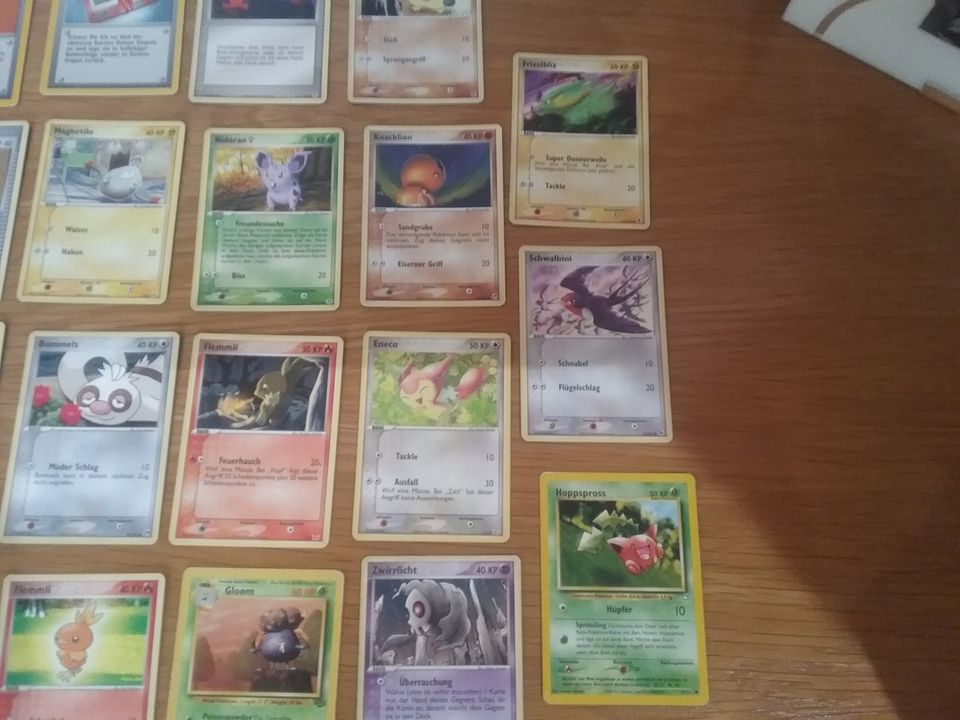 Pokemon-Karten je 1€ in Heroldsbach