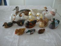 Sammlung Ente Enten Figuren Entenfiguren Schleswig-Holstein - Bad Oldesloe Vorschau