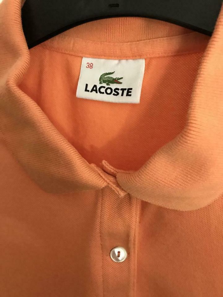 Original Lacoste (Damen) Polo in Apricot/Lachs in Größe 38 in Bonn