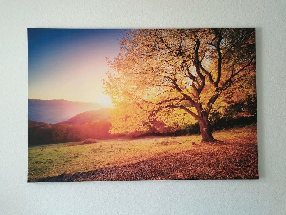 Herbstbild, Bild, Leinwand in Dresden