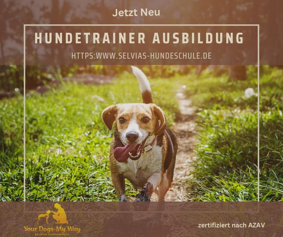 Hundetrainer Ausbildung in Duisburg