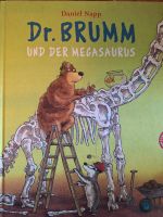 Buch Br. Brumm und der Megasaurus Münster (Westfalen) - Centrum Vorschau