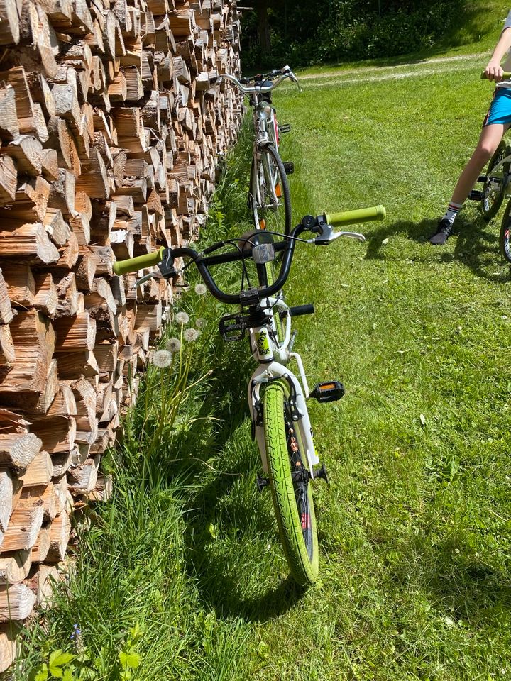 BMX für Kinder in München