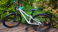 Specialized, Mountainbike, 27,5‘‘ (Zoll), weiß Baden-Württemberg - Waiblingen Vorschau