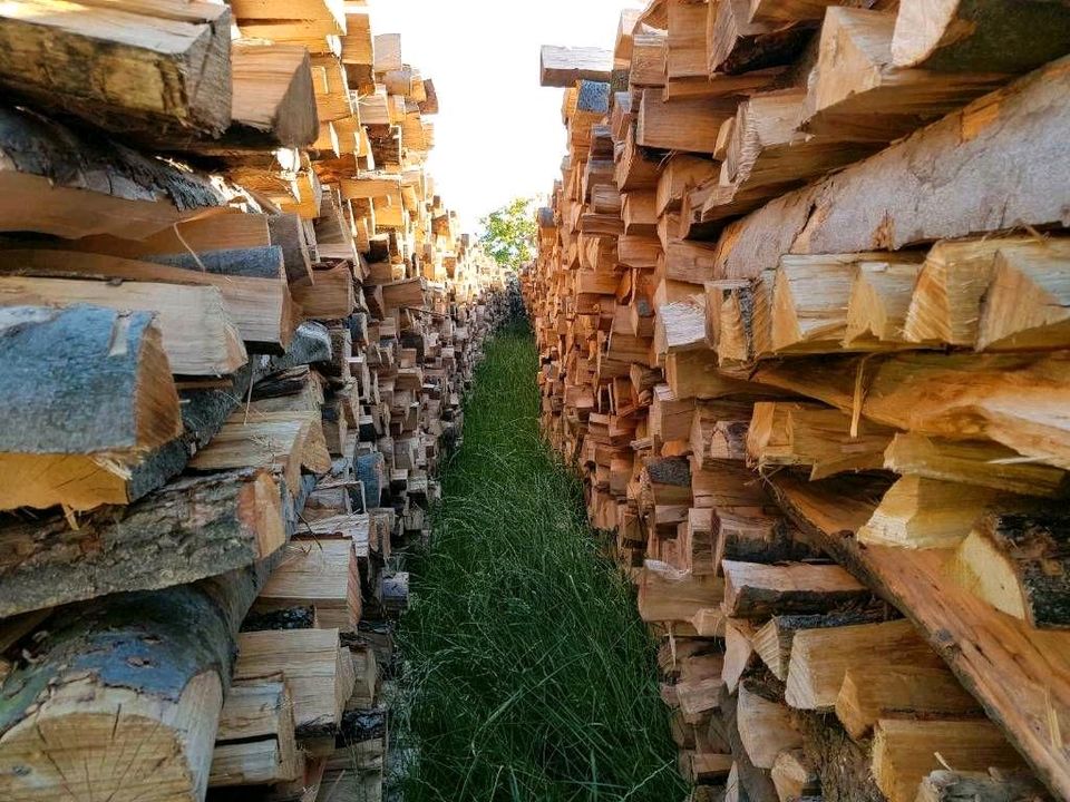 Trockenes Brennholz zu verkaufen, Buche/Eiche in Raummetern in Wabern