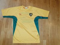 Puma Kamerun Training Trikot Shirt Teamware wie matchworn Berlin - Neukölln Vorschau