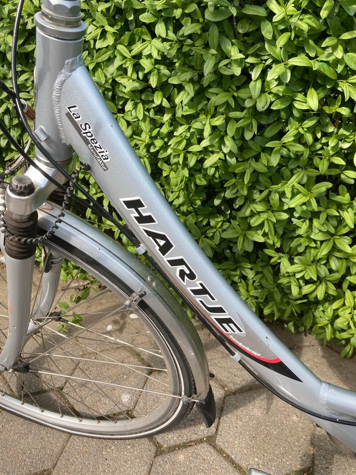 Hartje Damenfahrrad 28‘ mit Koffer in Hespe