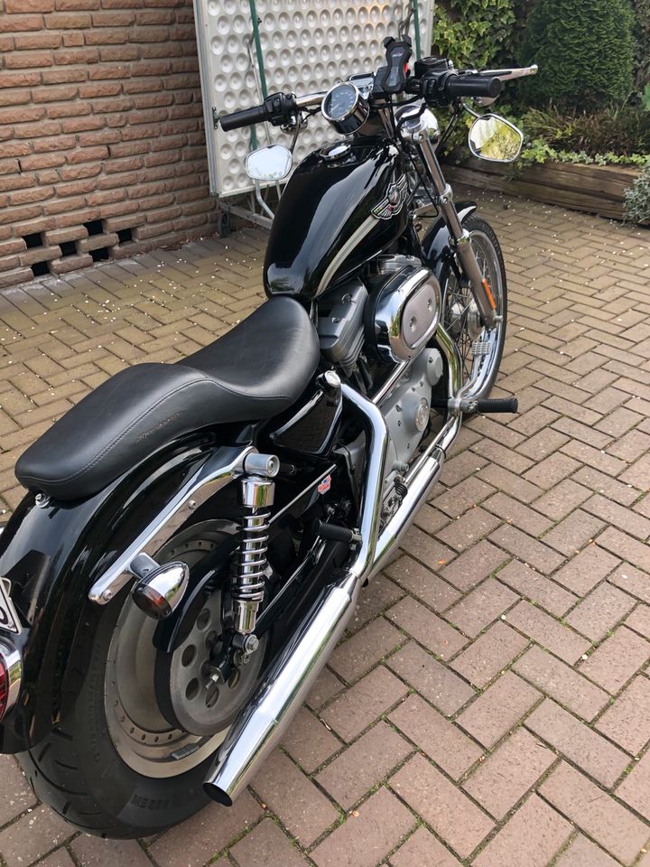 Harley-Davidson 883 Sportster XL in Gütersloh