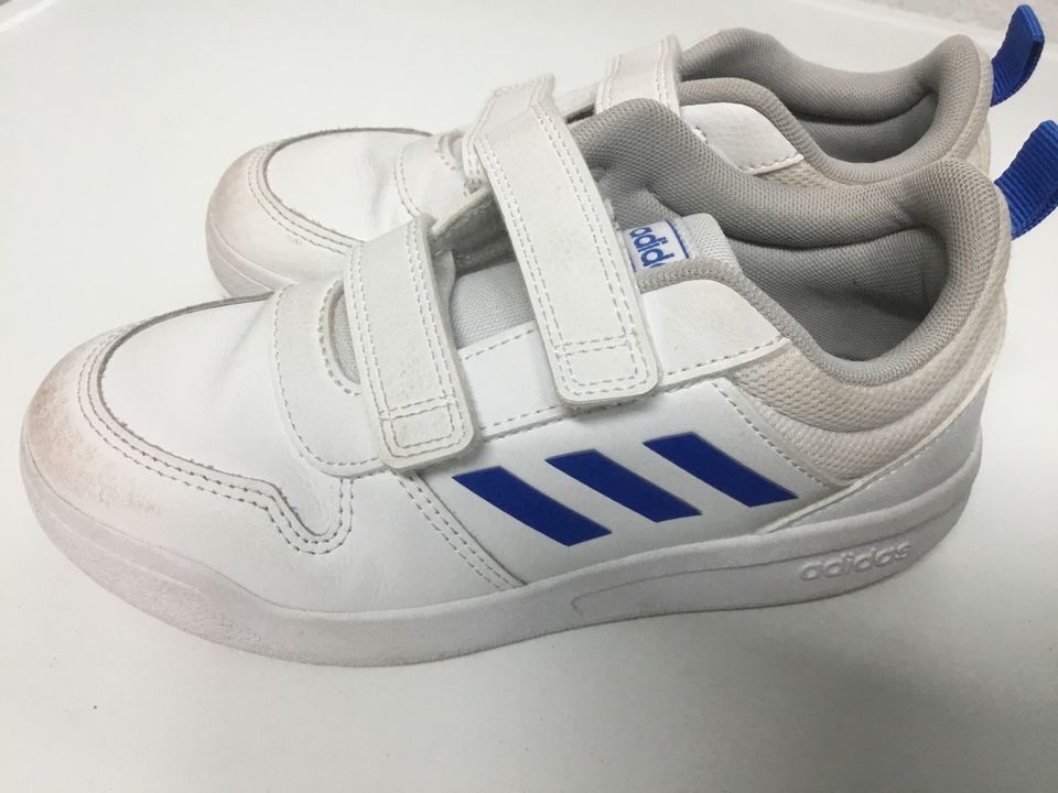 Adidas Turnschuhe Sportschuhe Hallenschuhe Gr. 31 in Kelkheim