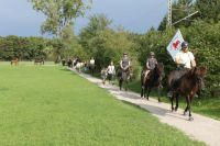 Offenstallplatz Offenstall Islandpferd Isländer S-Bahn München Bayern - Geltendorf Vorschau