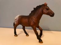 Schleich Appaloosa Hengst 13732 Rheinland-Pfalz - Volkerzen Vorschau