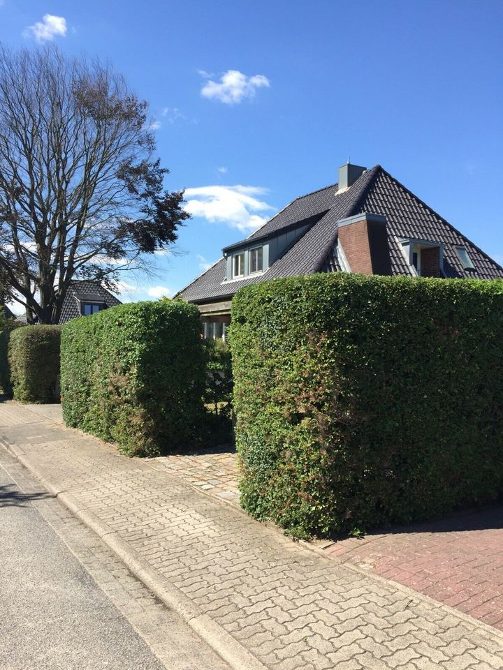 Gärtner...Gartenhilfe...Hecke schneiden...Gartendauerpflege.. in Brokstedt