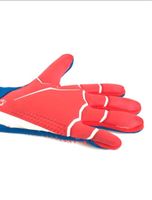 Adidas Fußball Handschuhe Predator Berlin - Pankow Vorschau