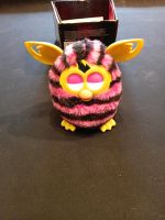 Furby von Hasbro pink schwarz Baden-Württemberg - Tiefenbach Vorschau