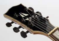 The STRING BUTLER V3 SCHWARZ FÜR GITARRE Bayern - Bogen Niederbay Vorschau