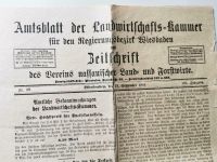 Amtsblatt der Landwirtschaft-Kammer Wiesbaden vom 27.09.1919 Nr 3 Hessen - Dautphetal Vorschau