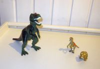 Playmobil Dinos Dinosaurier T-Rex Velociraptor Triceratops-Baby Bayern - Polling Vorschau