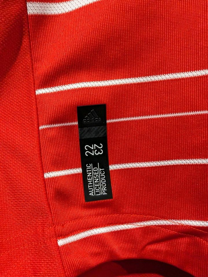 FC Bayern München Trikot Authentic Kimmich Spielertrikot in Melsungen