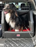 Hundebox Dogstyler Transportbox Hunde Auto Bayern - Vilsheim Vorschau