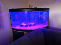 Fluval Venecia 350l Aquarium Bayern - Kelheim Vorschau