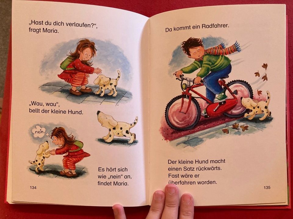 Kinderbuch.„Geheime Mädchensachen“. Sehr guter Zustand! in Bad Münster-Ebernburg