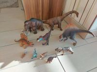 Schleich Dinosaurier  Dino Paket Hessen - Mengerskirchen Vorschau