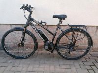 Damen E-Bike / Pedelec /ebike 50" Sachsen - Lößnitz Vorschau