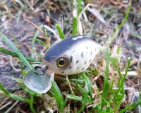 Illex Jackall Cherry 10 CC Sonderfarbe Crankbait Wobbler Hardbait Brandenburg - Potsdam Vorschau