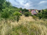 +++ Gartengrundstück in idyllischer Lage +++ Thüringen - Großlöbichau Vorschau