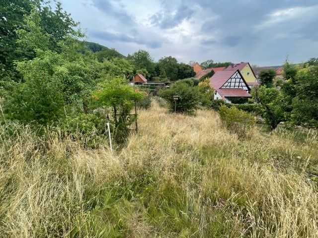 +++ Gartengrundstück in idyllischer Lage +++ in Großlöbichau