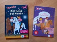 2x Bibi und Tina Bücher Bayern - Wegscheid Vorschau