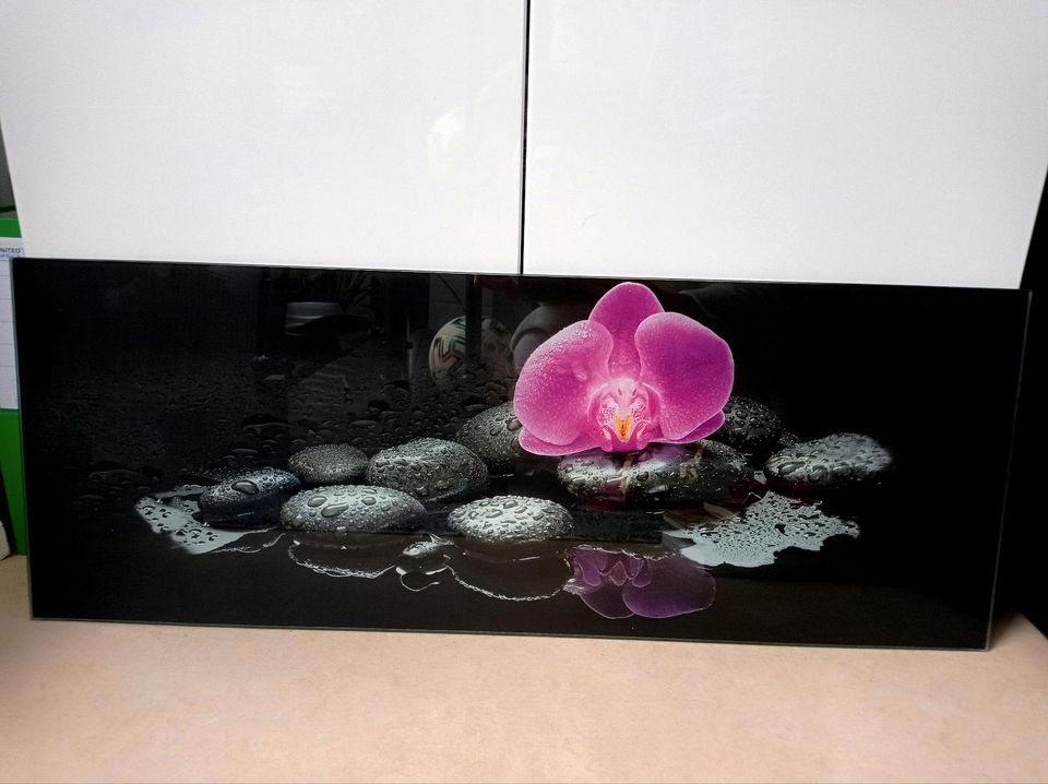 Glasbild pinke Orchidee mit schwarze Stein in Augsburg