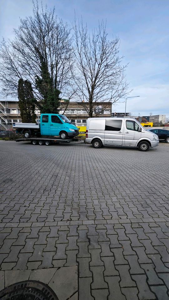 Niewiadow 5m autotransport Anhänger Plattform Trailer Autoanhänge in Duisburg