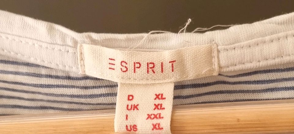 Esprit T-Shirt Gr. XL maritim in Pesterwitz