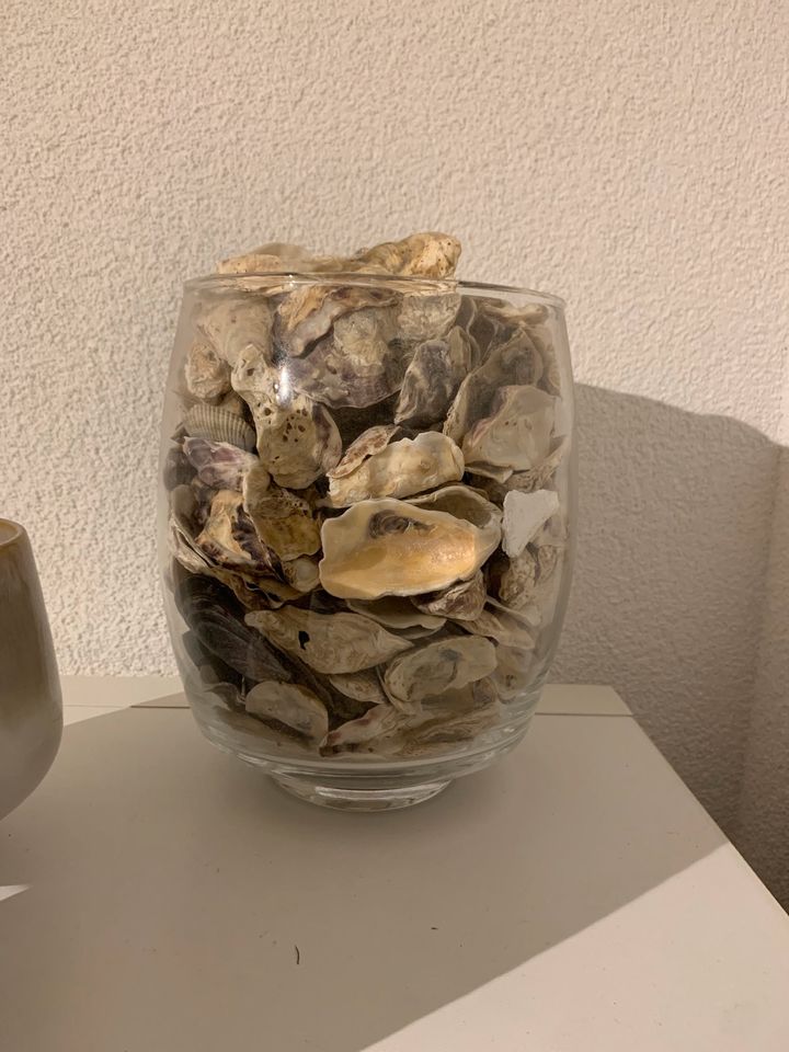 Deko Glas Dekoration Muscheln Urlaub maritim Bad in Küssaberg