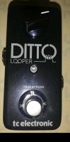 Ditto Looper Pedal Brandenburg - Lauchhammer Vorschau