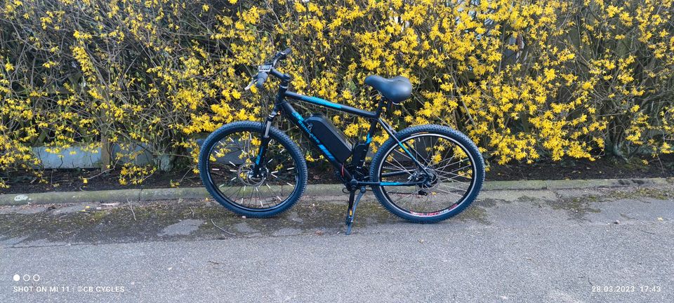 Fahrrad zum E-Bike/Pedelec Umbauen Dogscooter E-Dogscooter in Gladbeck