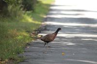 Suche Wohnung auf dem Lande Niedersachsen - Veltheim (Ohe) Vorschau