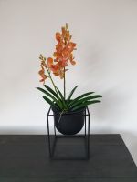 künstliche Orchidee Kunstpflanze Kunstblume orange Baden-Württemberg - Konstanz Vorschau