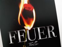 Karen Rose: Feuer | Thriller Taschenbuch Knaur Nordrhein-Westfalen - Werther (Westfalen) Vorschau