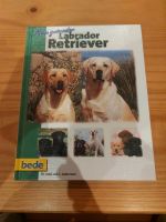 Buch der Labrador Retriever Saarland - Bexbach Vorschau