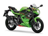 Kawasaki Ninja 125 ABS 4.J. Garantie Starterbonus Niedersachsen - Peine Vorschau