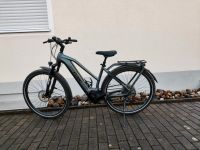 E-Bike Kathmandu Hybrid Pro 625 Trapez Bayern - Gersthofen Vorschau