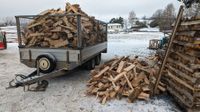 Brennholz Kaminholz Fichte 50cm gesägt & gespalten, trocken Thüringen - Saalfeld (Saale) Vorschau