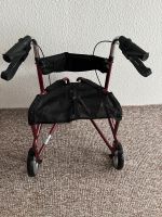 Rollator Dreirad Brandenburg - Potsdam Vorschau